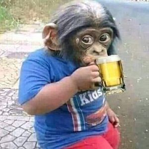 Meet your Posher, Francisco